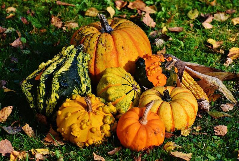 Nos idées pour une décoration magique pour Halloween