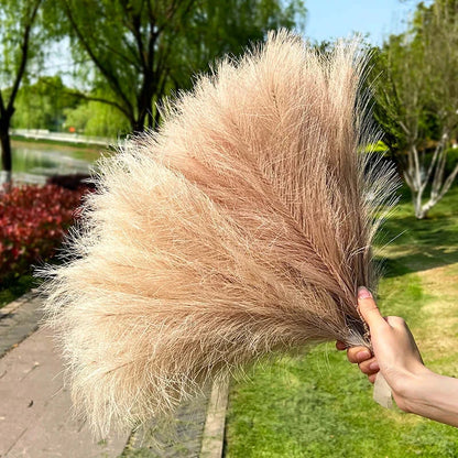 Bouquet de tiges de pampas multicolores tenu dans un parc verdoyant ensoleillé