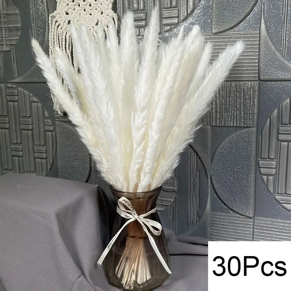 Bouquet de pampas séchées naturelles dans un vase élégamment arrangé, 30 pièces, décoration intérieure raffinée.