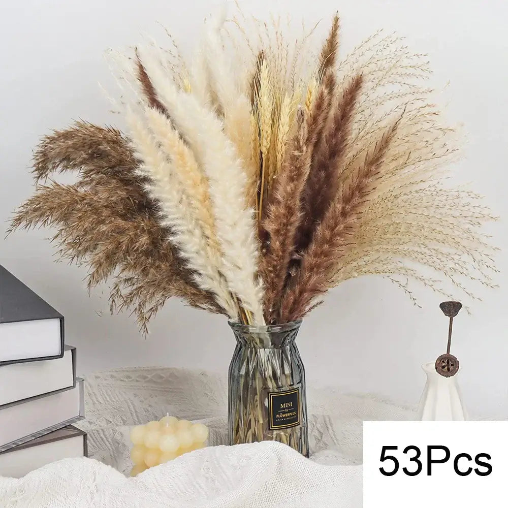 Natural dried pampas bouquet in glass vase with 53 pieces on a cozy home decor setup.