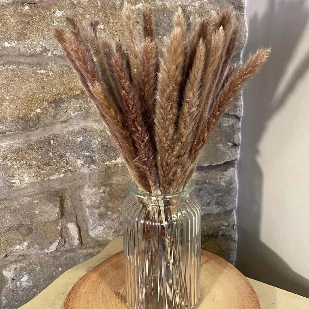 Bouquet de fleurs séchées de pampas naturelles dans un vase en verre, décoration intérieure élégante