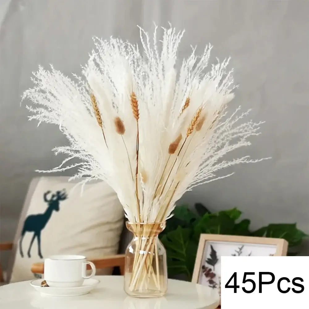 Bouquet de pampas séchées naturelles dans un vase en verre sur une table de salon élégant, 45 pièces