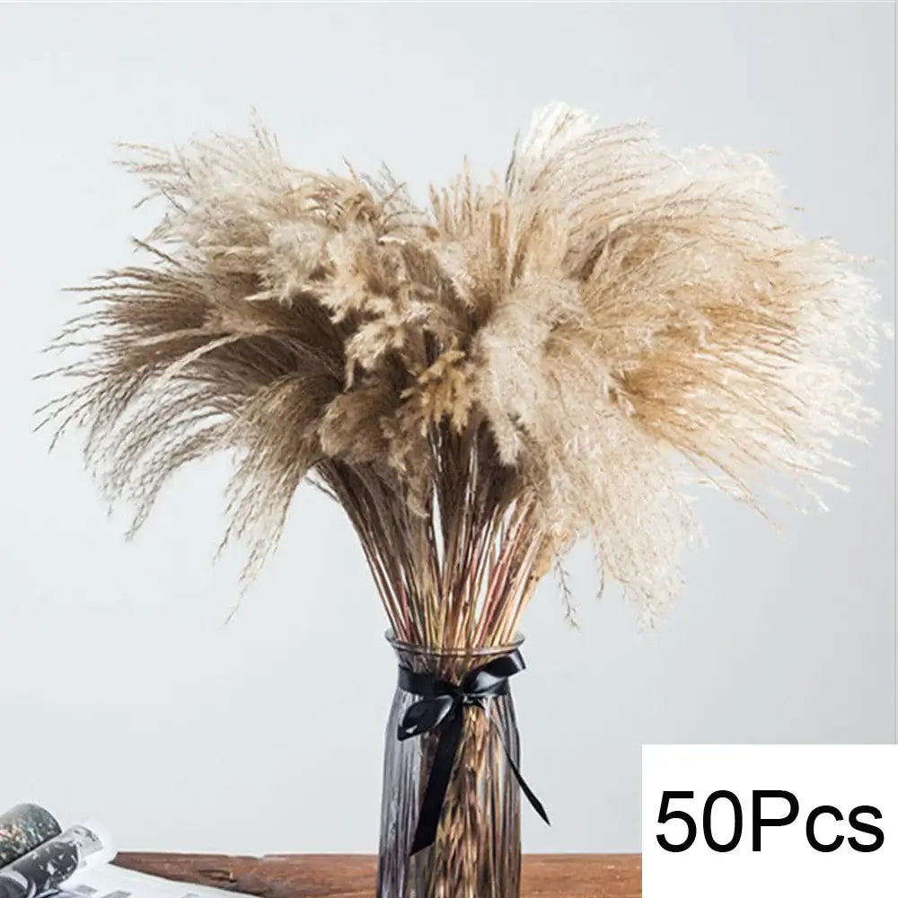 Vase avec 50 pièces de pampas séchées naturelles, décoration élégante pour maison ou occasions spéciales.