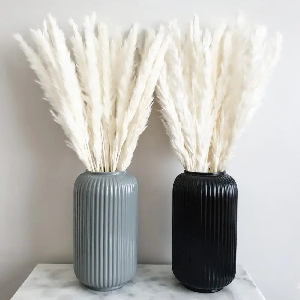 Natural dried pampas bouquet in gray and black ribbed vases, adding elegant charm to home decor.