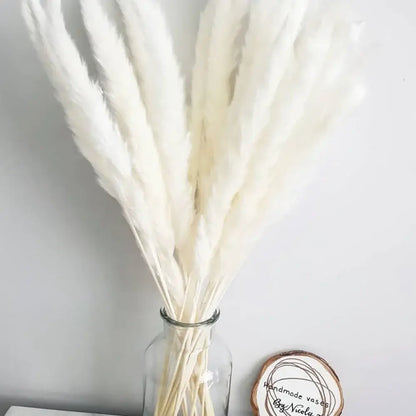 Dried natural pampas bouquet in a clear glass vase adding elegance to home decor