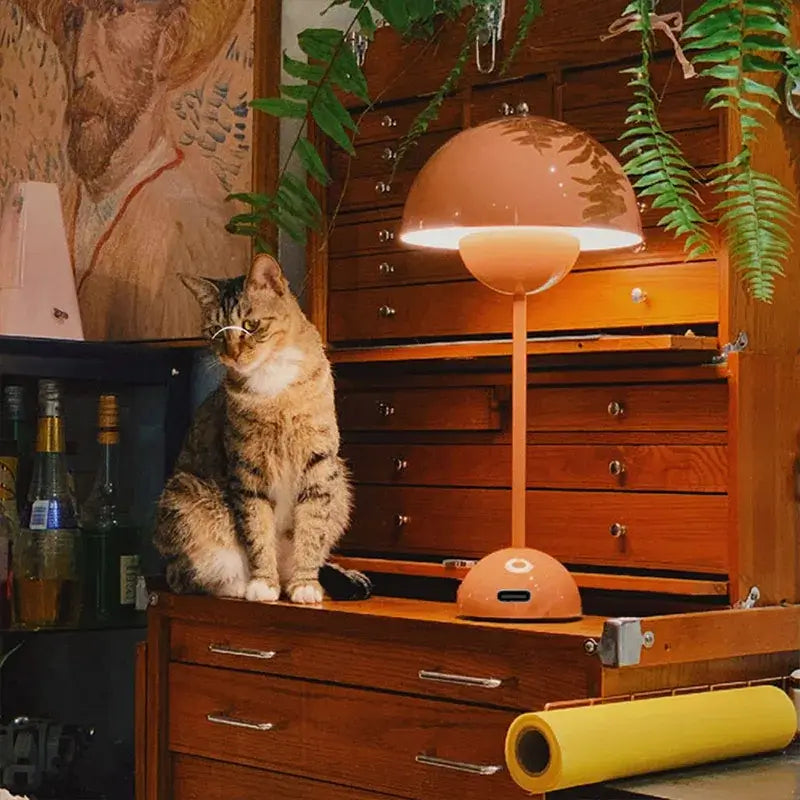 Lampe de table LED design champignon sur un tiroir en bois avec un chat assis à côté, créant une ambiance chaleureuse et élégante.