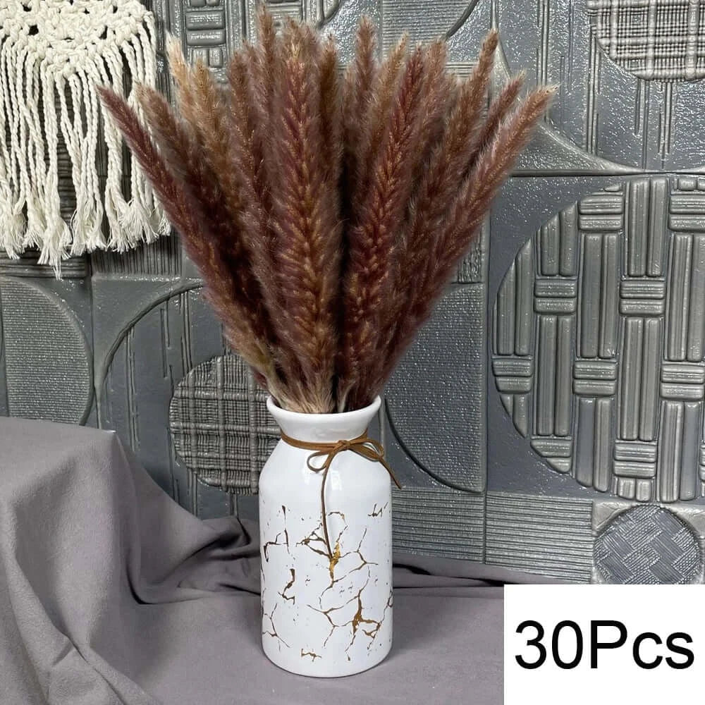 Bouquet de pampas séchées naturelles dans un vase, décoration intérieure élégante, 30 pièces