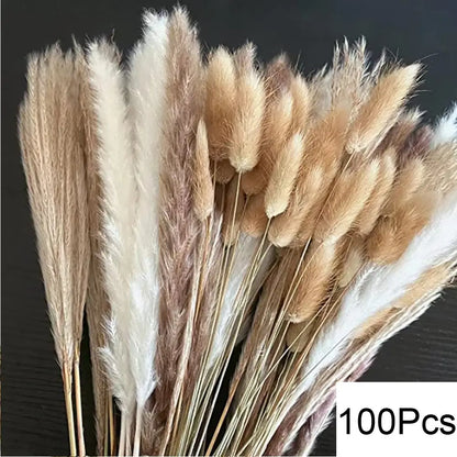 Bouquet de pampas séchées naturelles de 100 pièces, fleurs séchées élégantes pour décoration intérieure